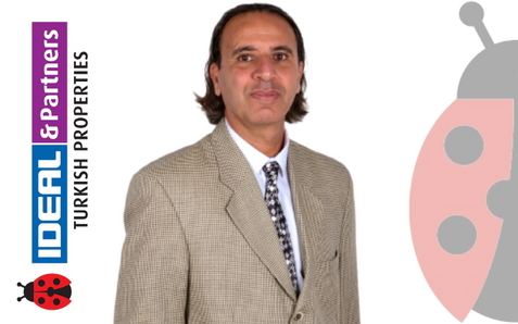Real Estate Agent Samim Belli