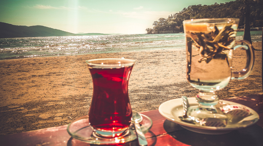 Acquisition of Turkish Citizenship Through Investment