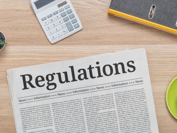 Amendments to the Turkish Citizenship law and its consequences